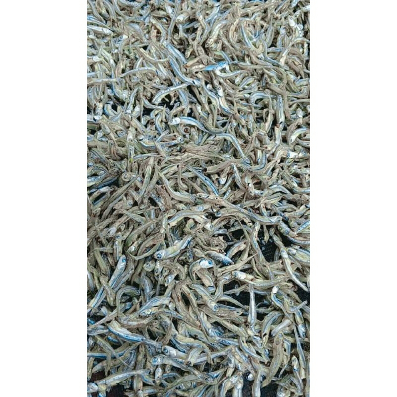 

ikan asin super klimis . tawar dijamin nyosss