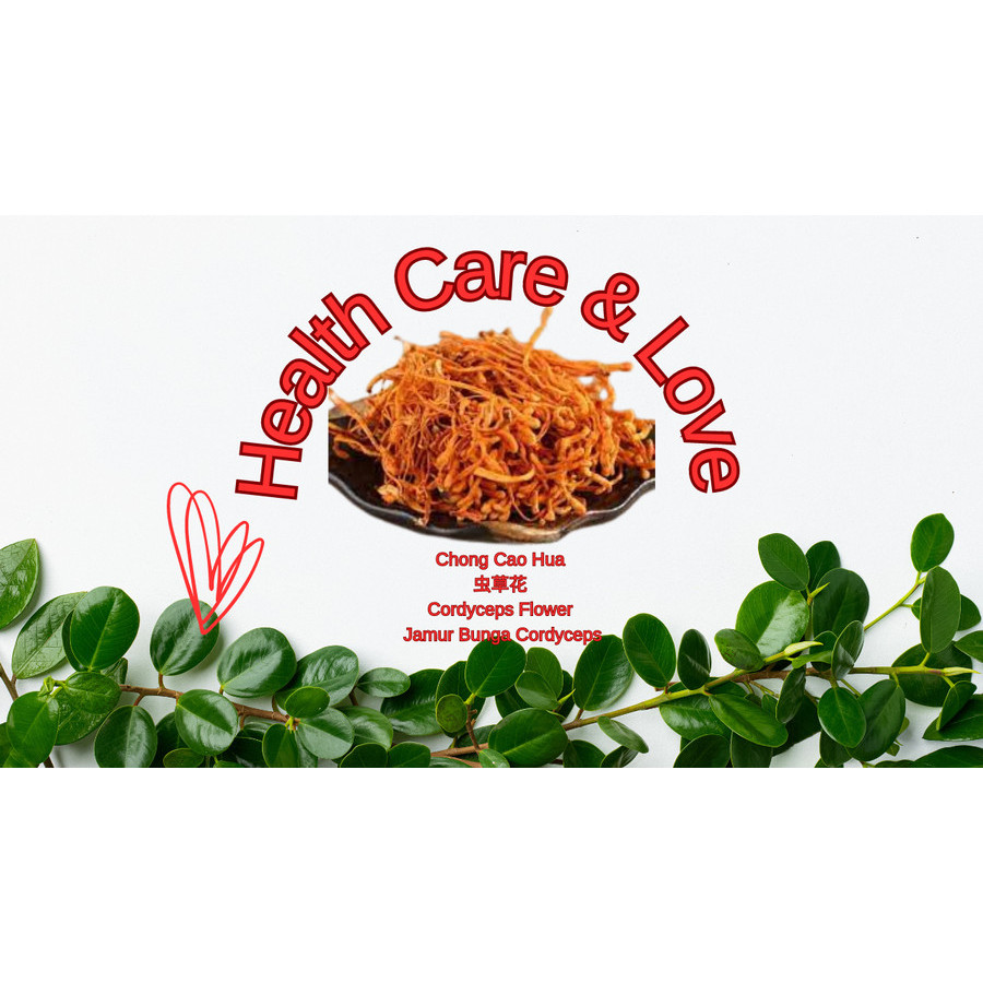 

Chong Cao Hua 虫草花 Cordyceps Flower - Jamur Bunga Cordyceps 50 Gr