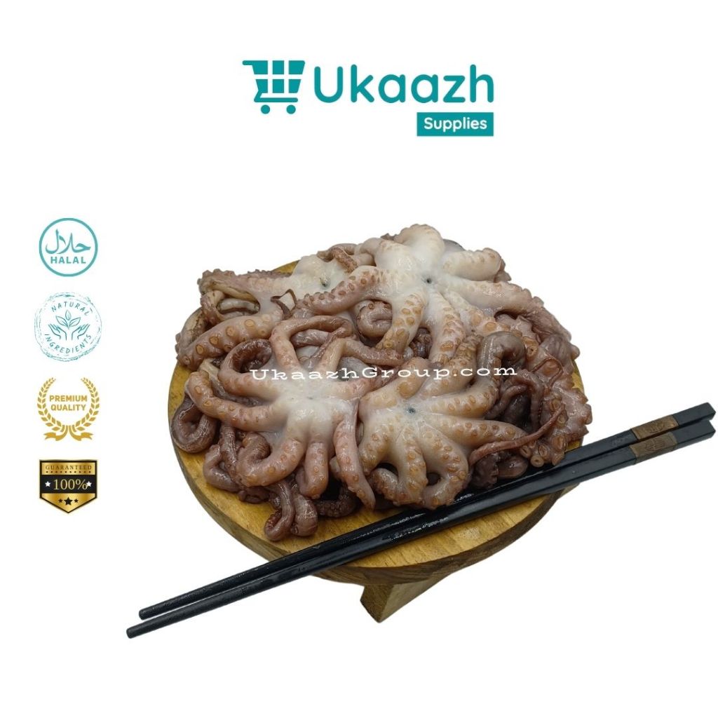 

Ukaazh Baby Octopus 1/2 Kg 500 Gram Frozen Fresh Segar