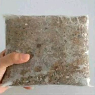 

1 KG KULIT TENGGIRI ASLI