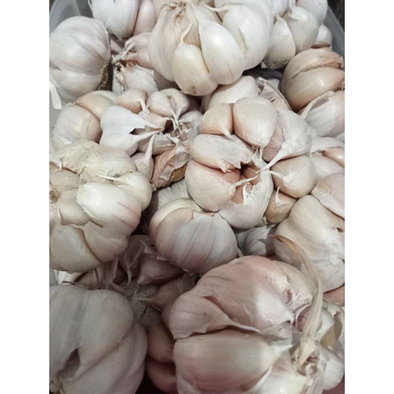 

Bawang putih bersih 500 gram bonus toples