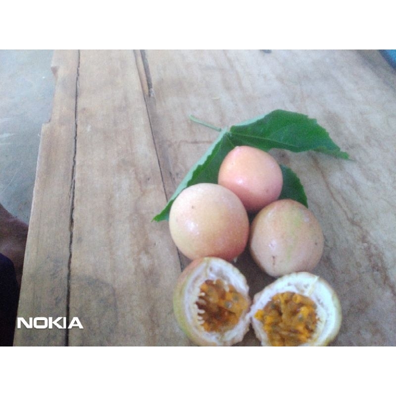 

markisa madu super manis