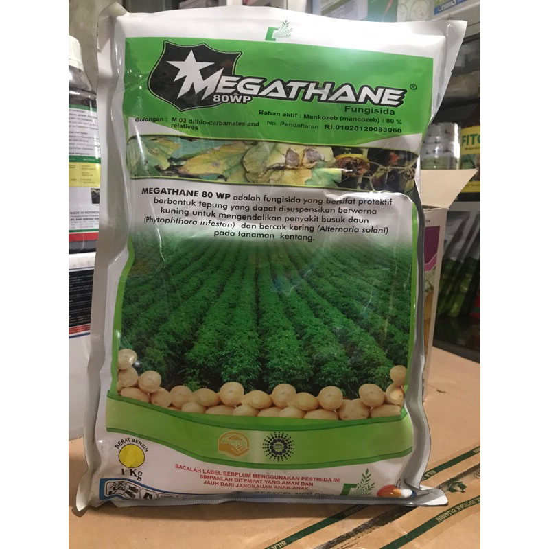 FUNGISIDA MEGATHANE 80 WP - Mancozeb kuning 80%