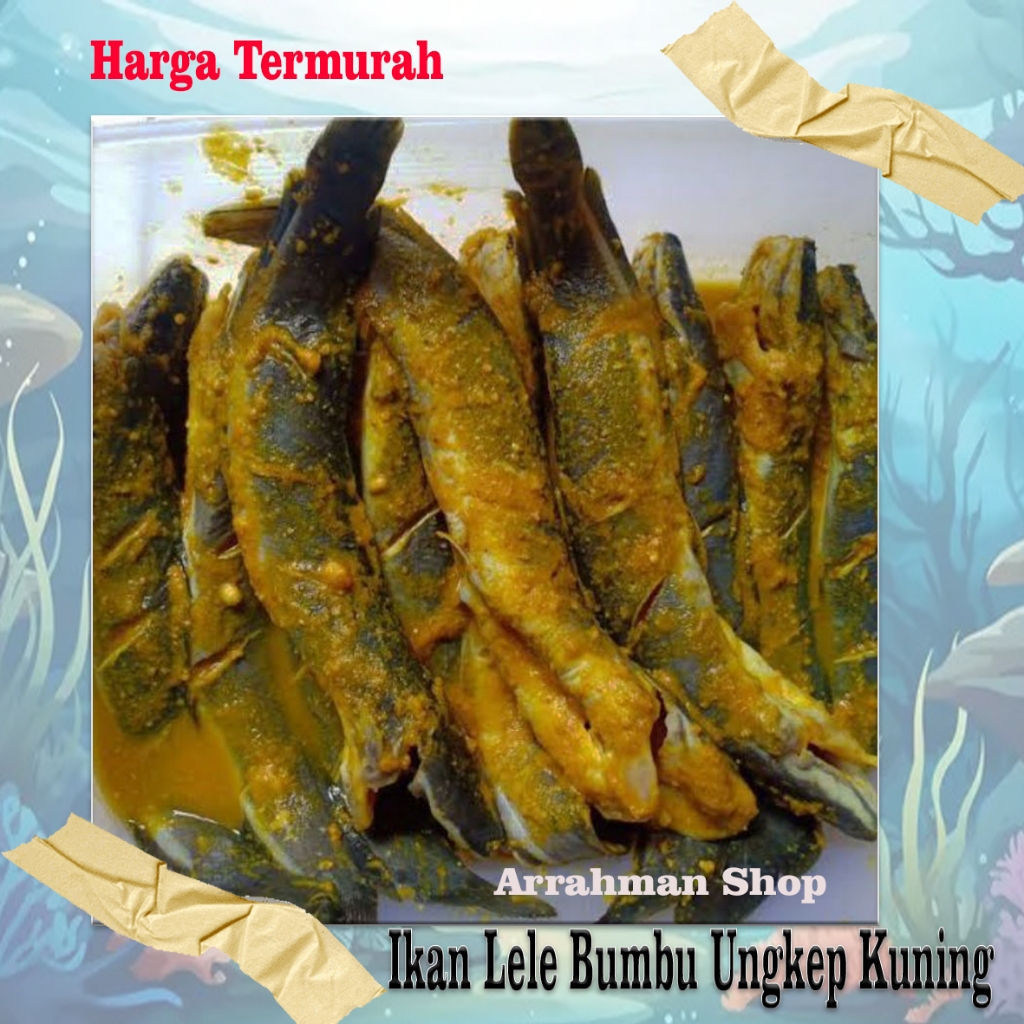 

ikan lele bumbu kuning 500 gram - Ikan lelen ungkep - lele bumbu kuning siap goreng fresh