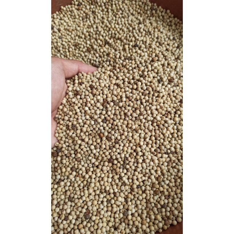 

(1kg) lada/merica/sahang putih butir asli BANGKA (100% murni)