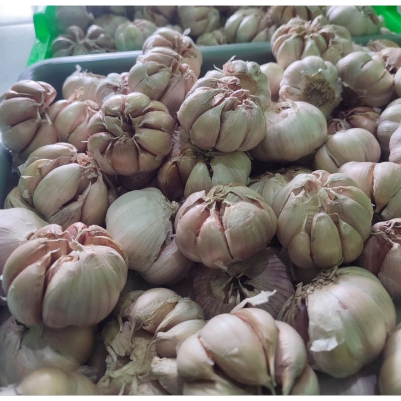 

BAWANG PUTIH KERING 500 GR