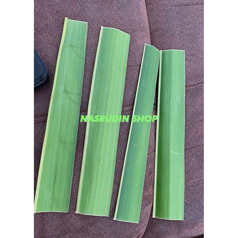 

POTONGAN DAUN KELAPA HIJAU 1KG (P/L 20cm/2-3cm) SEGAR LANGSUNG PETIK / JANUR KELAPA