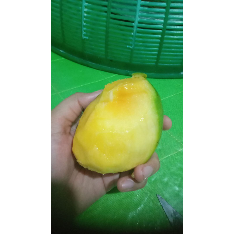

mangga mudaa enak