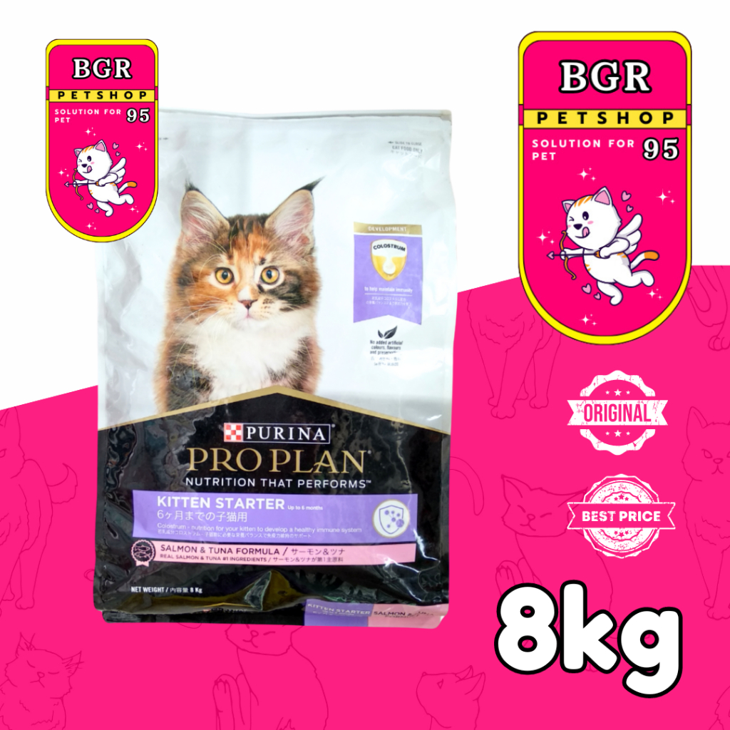PROPLAN KITTEN STARTER 8 KG EKSPEDISI