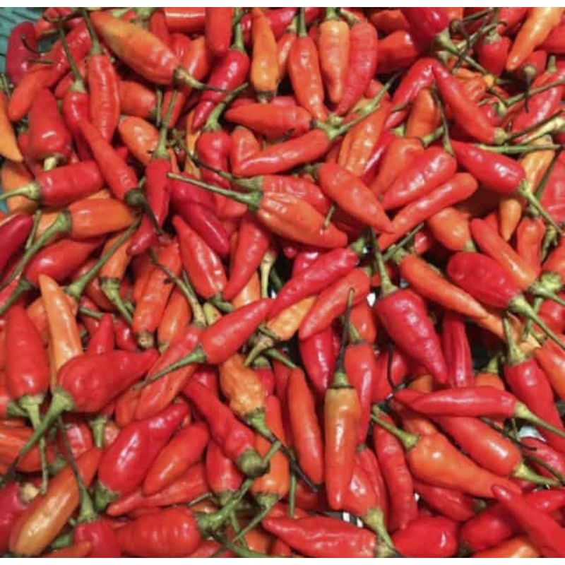 

cabe rawit merah 250 gram