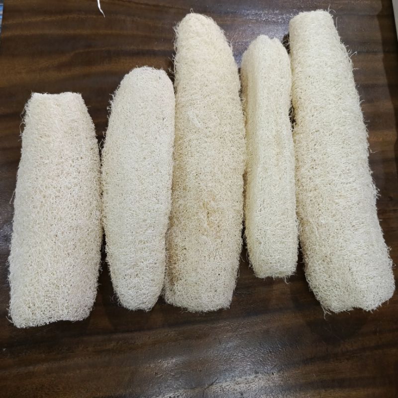 SPA Loofah Lofah Sabut Gambas Oyong Scrub Sponge Mandi Alami Loofah Cuci Piring Loofah Punggung
