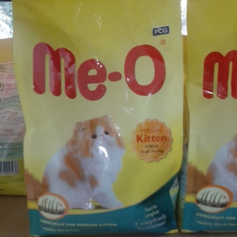 Meo Kitten Persian