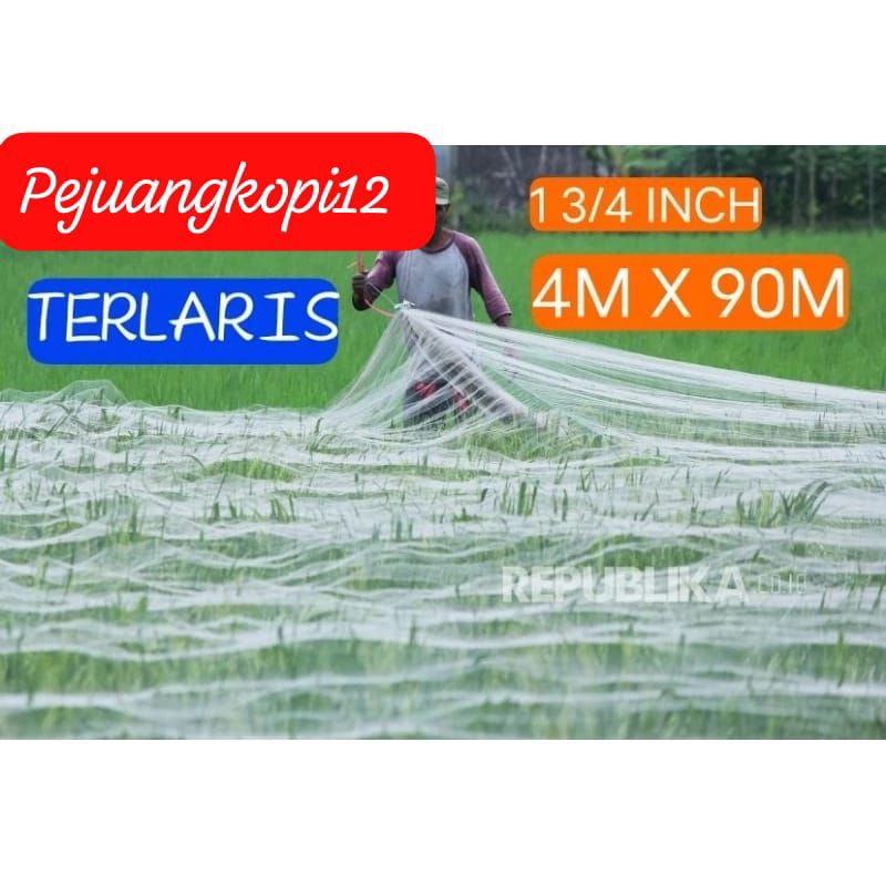 jaring burung emprit jaring burung Pipit 1-3/4 inch 0.12 mm jaring burung pelindung padi 100 x 100 y