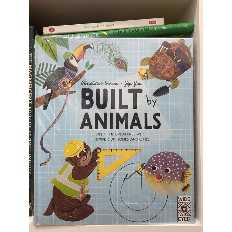 Built By Animals | Buku Anak Import Children Reference Book