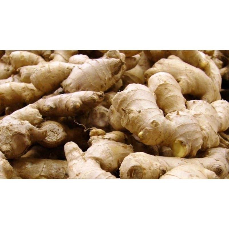 

jahe putih berat 250grm