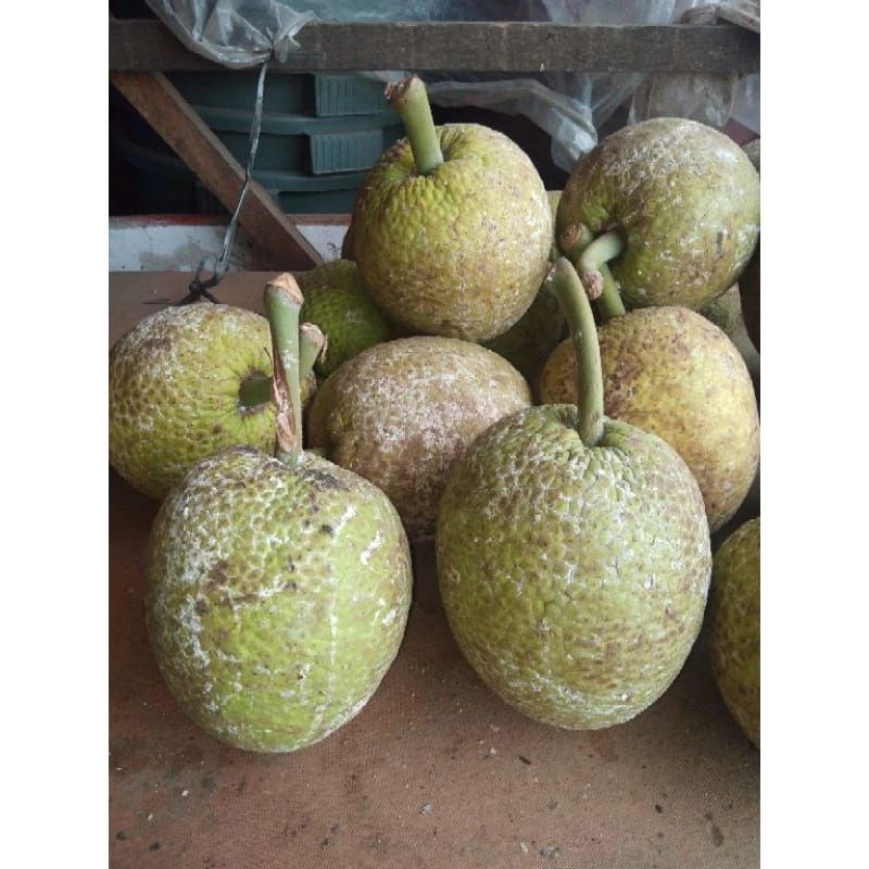 

Sukun harga 1buah
