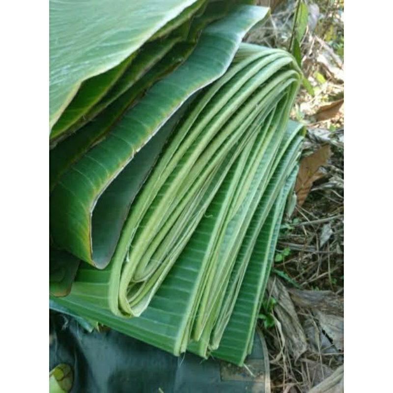 

daun pisang