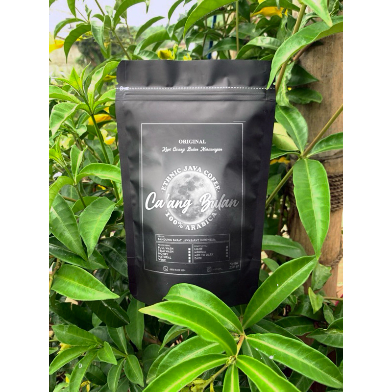 

kopi arabica || kopi cililin || kopi gunung halu || kopi asli