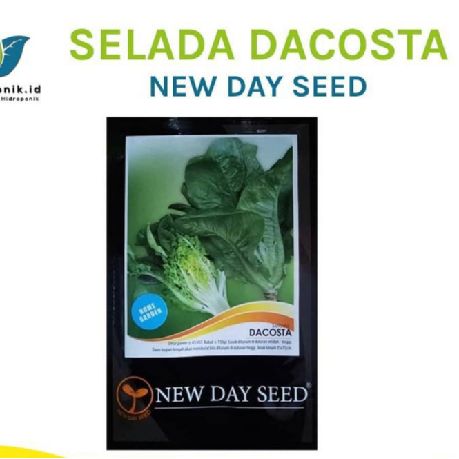 benih/bibit selada green romaine dacosta