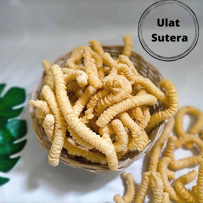 

ulat sutra berat 500 gr