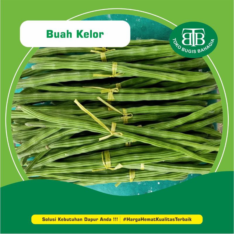 

Sayur Buah Kelor Murah Makassar