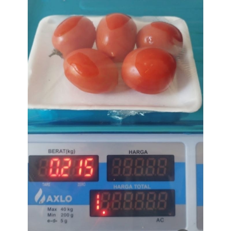 

Tomat Sayur segar