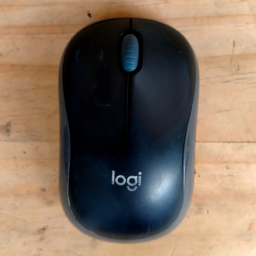 Wireless Mouse Logitech B175