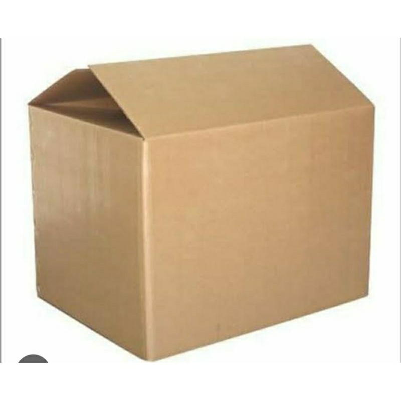 

KARDUS TAMBAHAN PACKING 1 KG