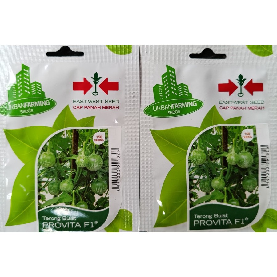 Benih Bibit Terong Bulat Provita F1 Cap Panah Merah