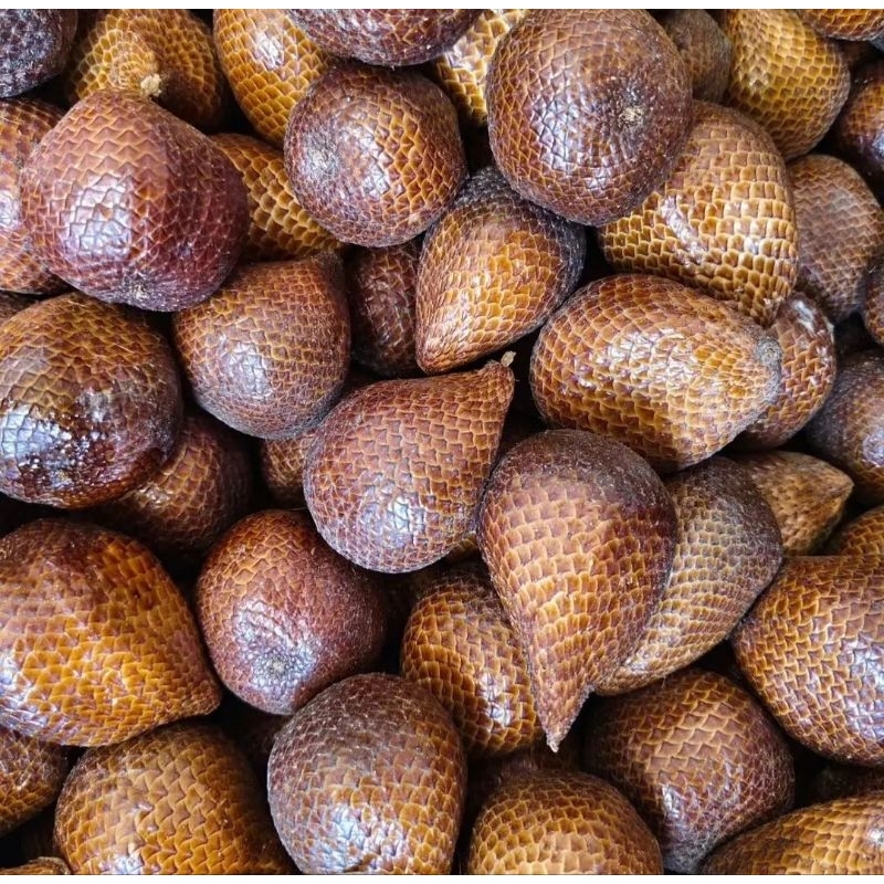 Salak Pondoh Jogja