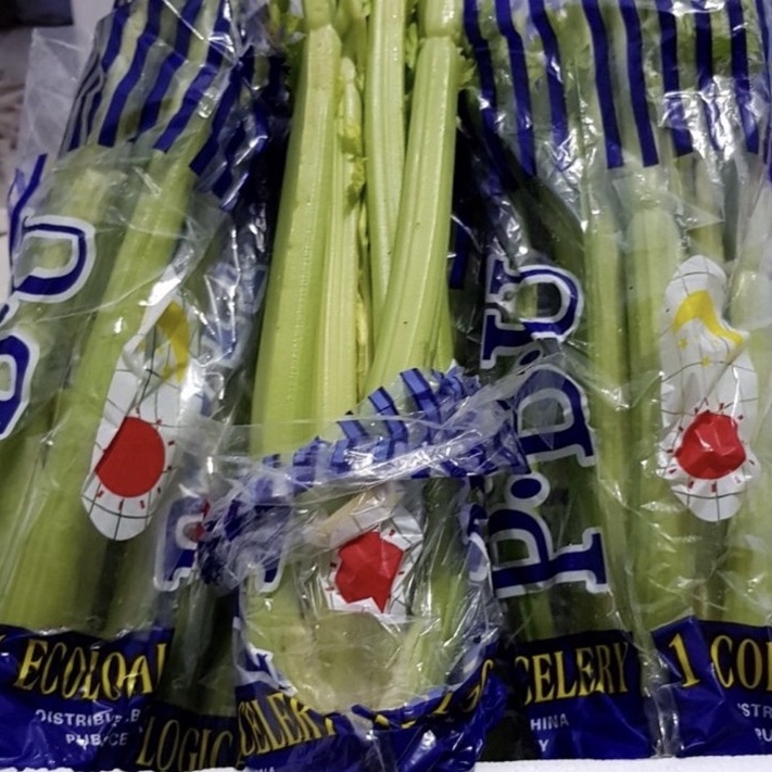 

celery stik seledri stik 1 kg