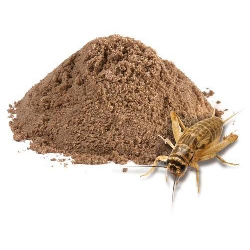 TEPUNG JANGKRIK 100GR UNTUK PAKAN BURUNG,IKAN,AYAM,BEBEK