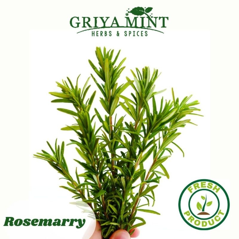 

Rosemary Fresh 250g /500g /1 kg