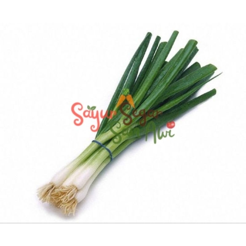

DAUN PRE 1 IKAT | INSTANT MALANG | SAYUR SEGAR | SAYUR SEGAR SAM AWI