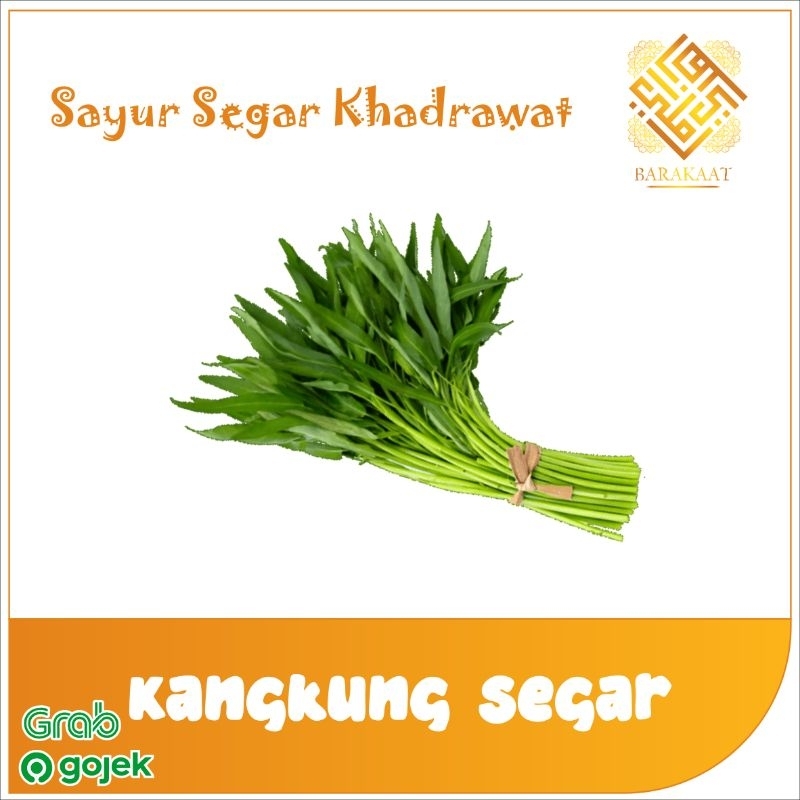 

Kangkung Segar 1 Ikat