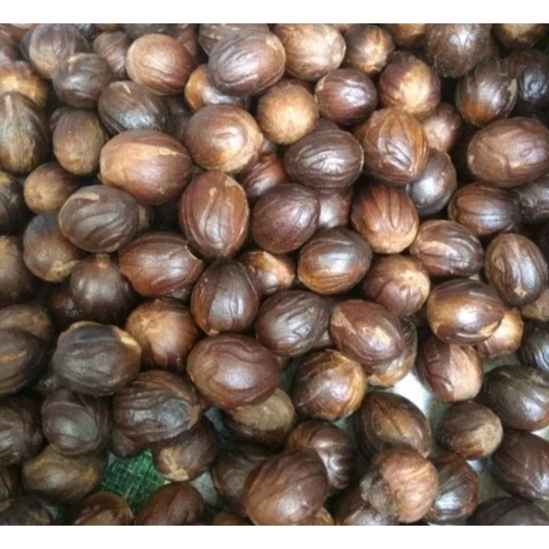 

buah pala/rempah/bumbu