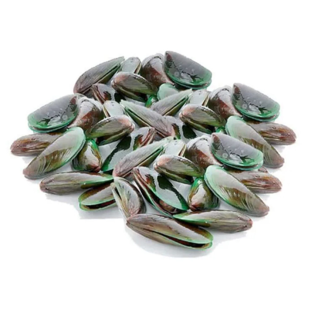 

KERANG HIJAU LOKAL