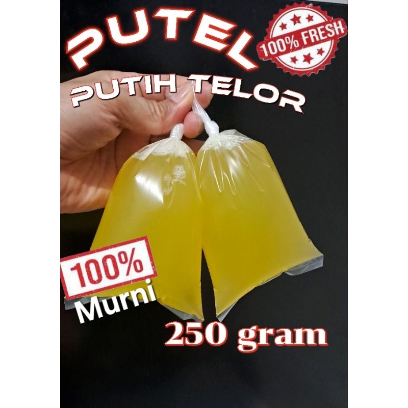 

PUTIH TELOR FRESH 100% MURNI