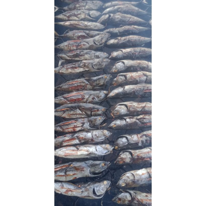 

ikan asap khas maluku