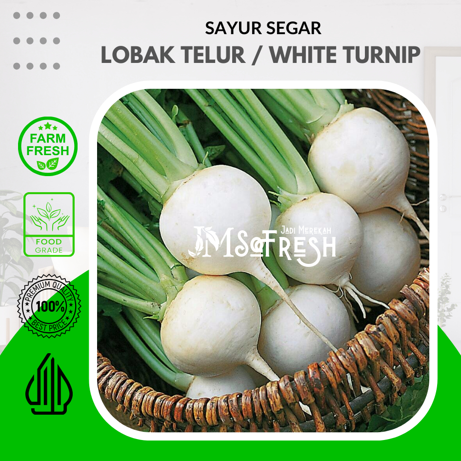 

[JM_Sofresh] Lobak Bulat Putih Segar / White Turnip Fresh