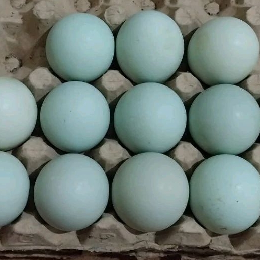 

Telur Asin Masir Istimewa bikin ketagihan