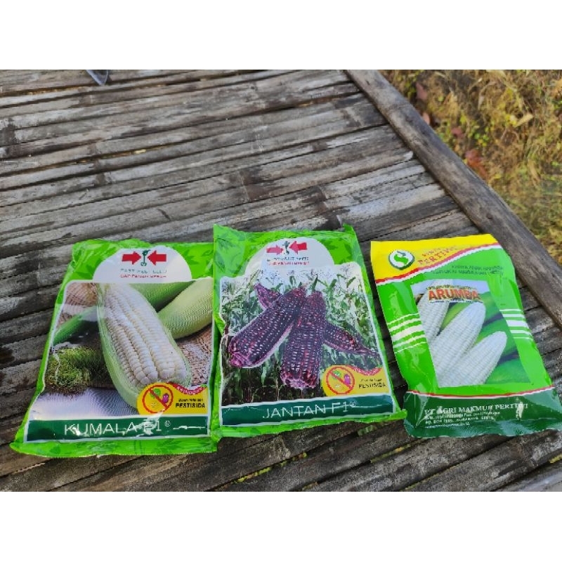 10 Butir/Biji Benih Jagung Hibrida ARUMBA PERTIWI Bibit Jagung Putih Ketan Manis