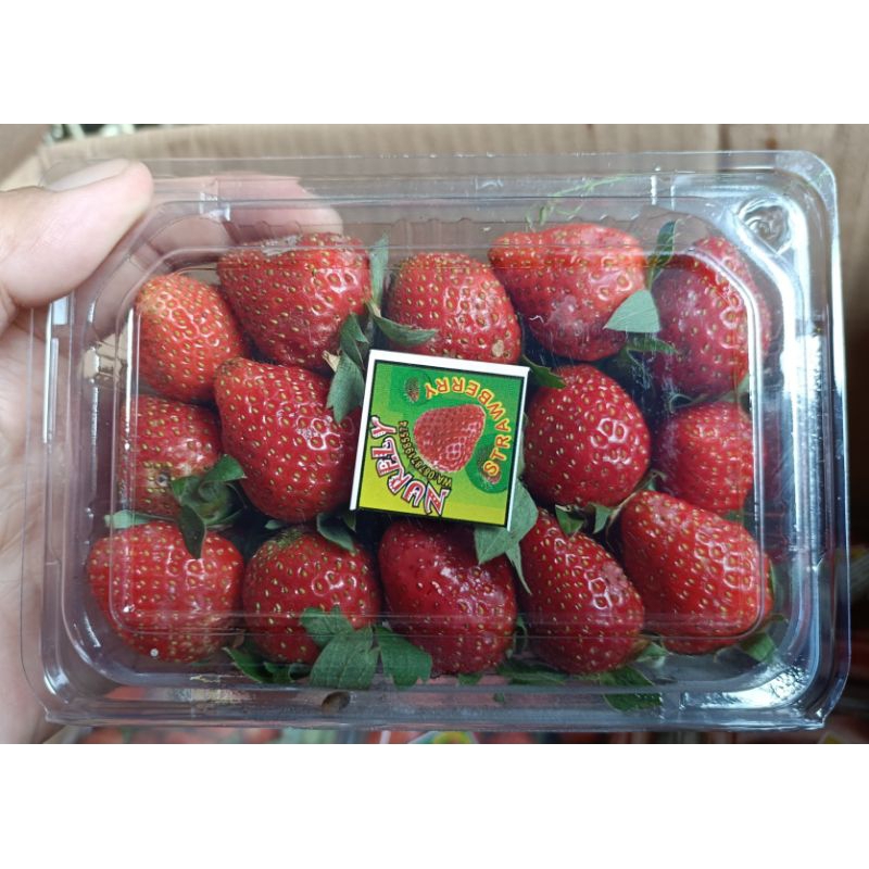 

Buah Strawberry Fresh 300 Gram