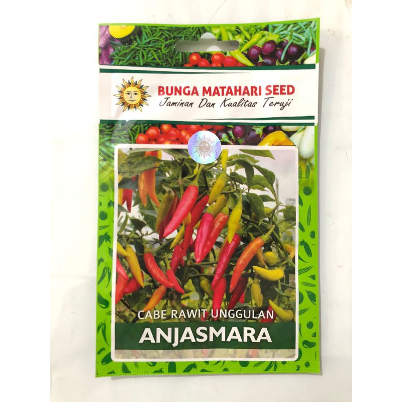 BIBIT BENIH SEED CABE RAWIT UNGGULAN ANJASMARA CAP BUNGA MATAHARI