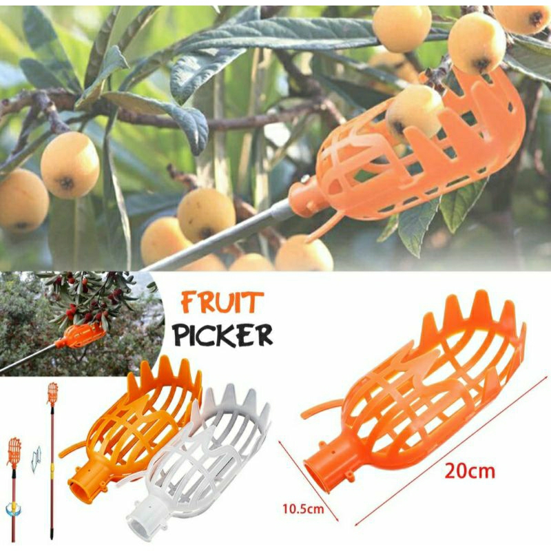 Alat Pemetik Ujung Galah Memudahkan Mengambil Buah Mangga Sekop Buah