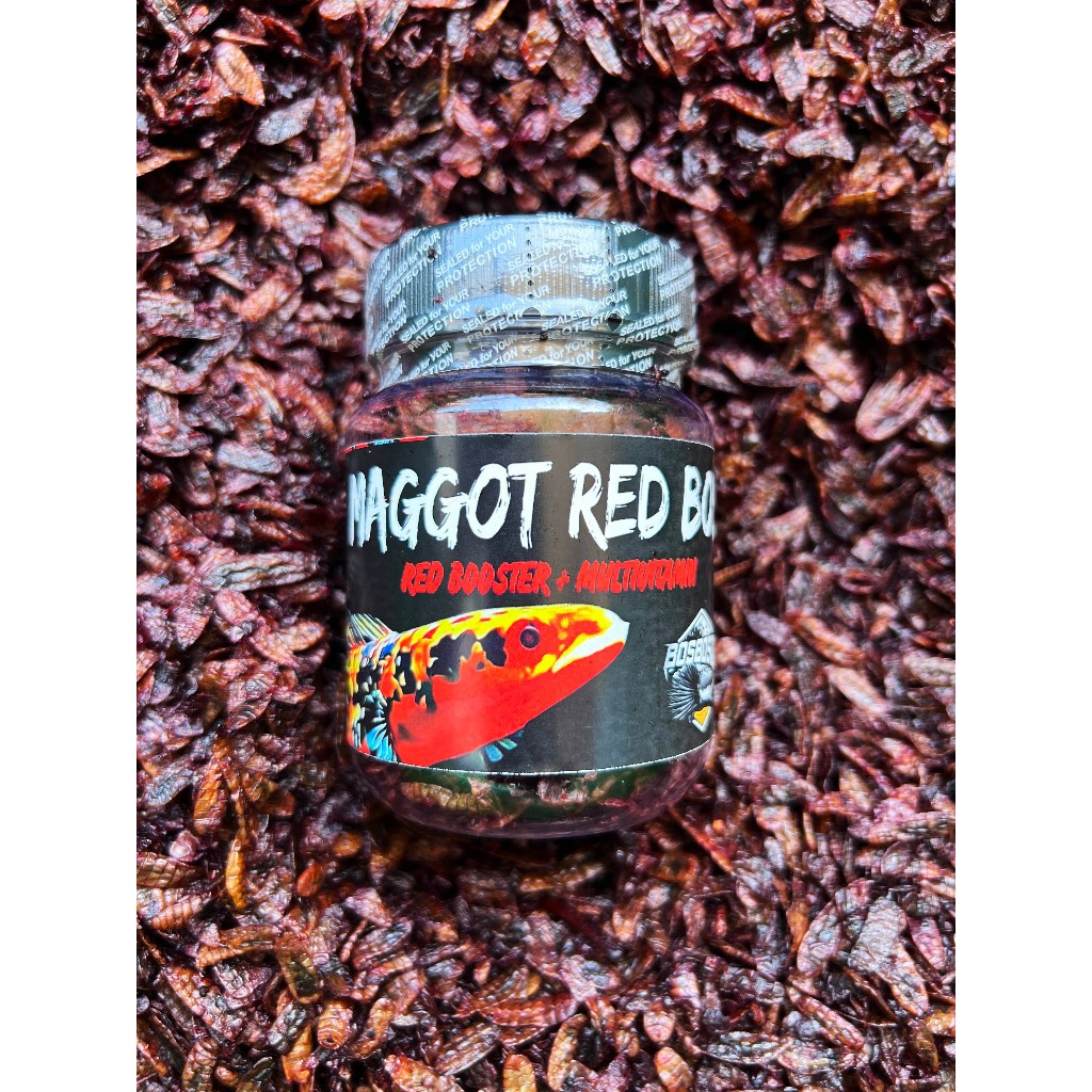 Maggot Red BOS New Formula Grade A++ Pakan Menaikkan Pigmen Kuning dan Merah by BOS BOS QU