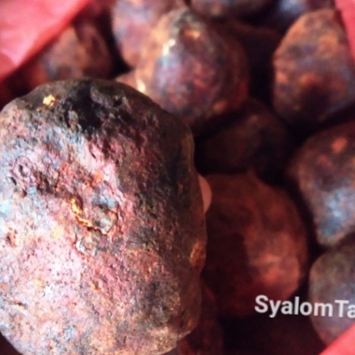 

Terbaru Gambir Maha Bunga Medan