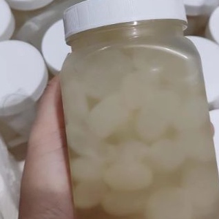 

MEGA SALE Kolang Kaling Mini Organik Ready to eat