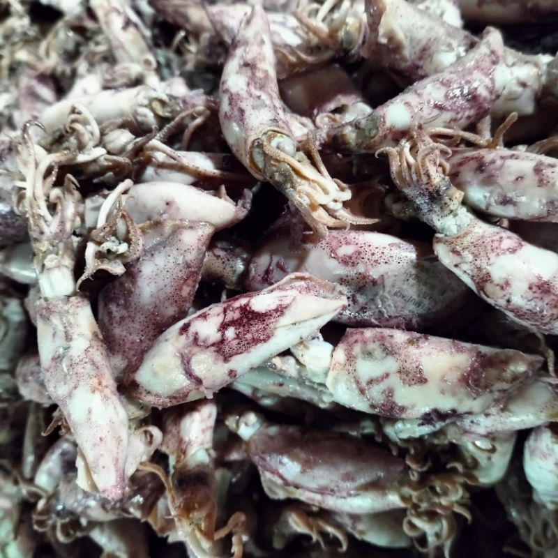 

IKAN ASIN ASLI DARI LAUT