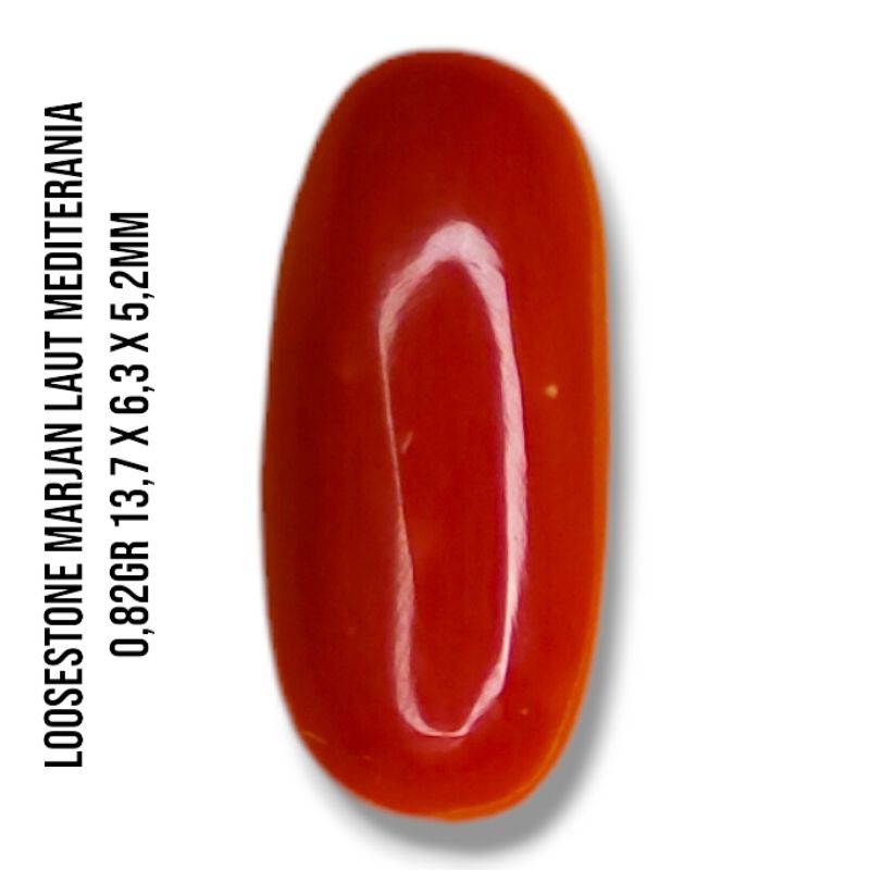 Mata Cincin Marjan Corralium Rubrum Asli Original Mesir MEDITERANIA ark